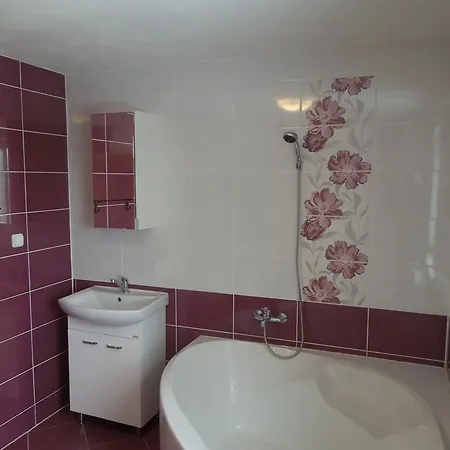 Apartments Benesov Nad Ploucnici Room photo