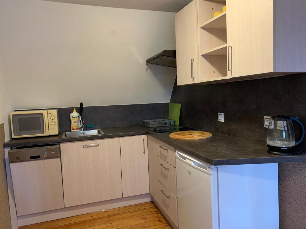 Apartments Benesov Nad Ploucnici דירה Benesov nad Ploucnici